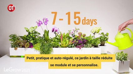 Le Snap #35 : la main verte même à la maison