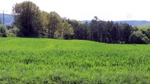 KARABÜK - Kullanılmayan tarım arazileri üretime kazandırılıyor