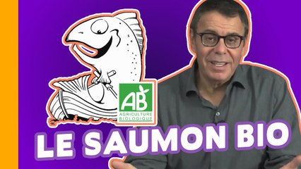 Le Saumon Bio - Le Grain de Sel de Jean-Michel Cohen