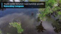 Yeşilin binbir tonunun suya karıştığı güzellik: Bursa Karacabey Longozu
