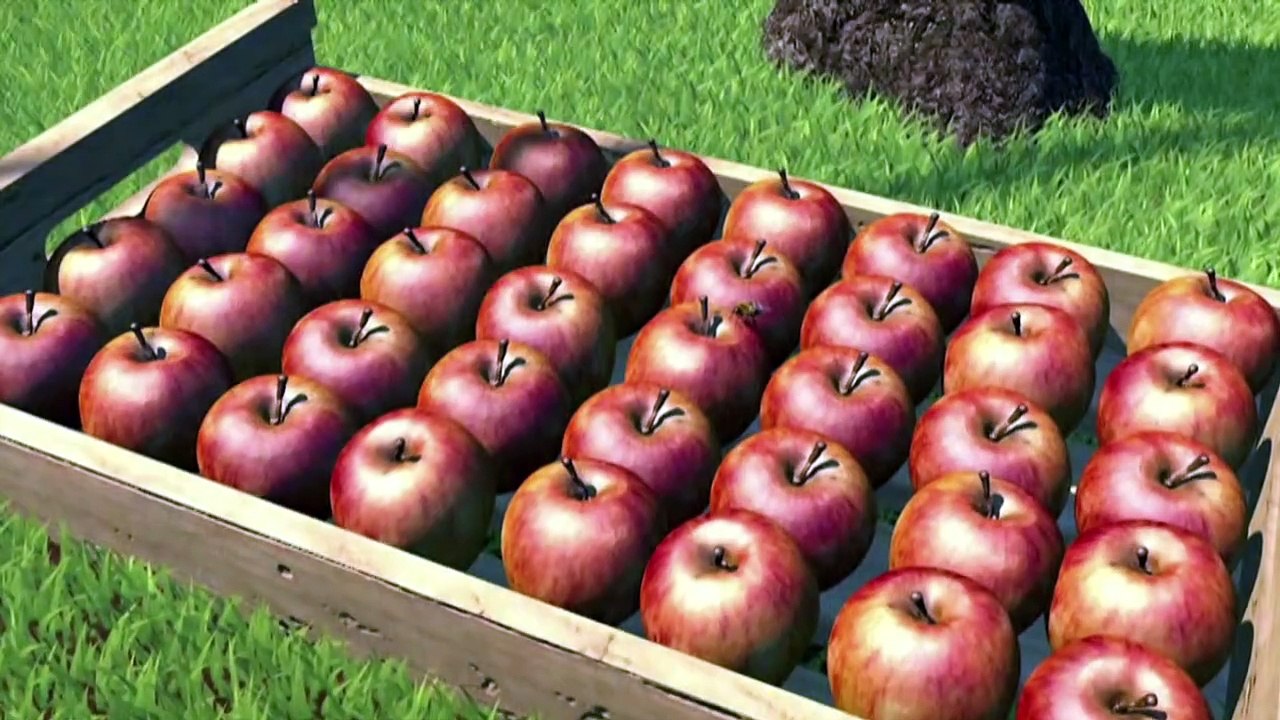 Videografik: Bienensterben