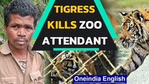 Arunachal Pradesh: Royal Bengal tigress mauls zoo attendant to death in Itanagar zoo | Oneindia News