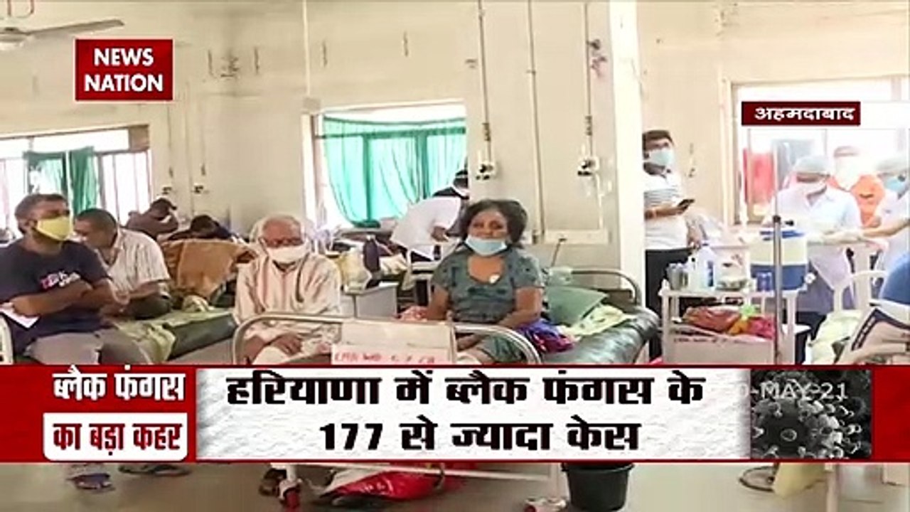 Black Fungus: अहमदाबाद में ब्लैक फंगस की दवा की किल्लत, होने लगी ब्लैक मार्केटिंग