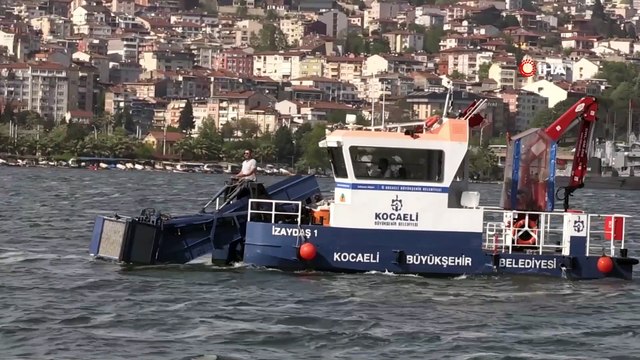 İzmit Körfezi’nde 50 günde 150 ton deniz salyası toplandı