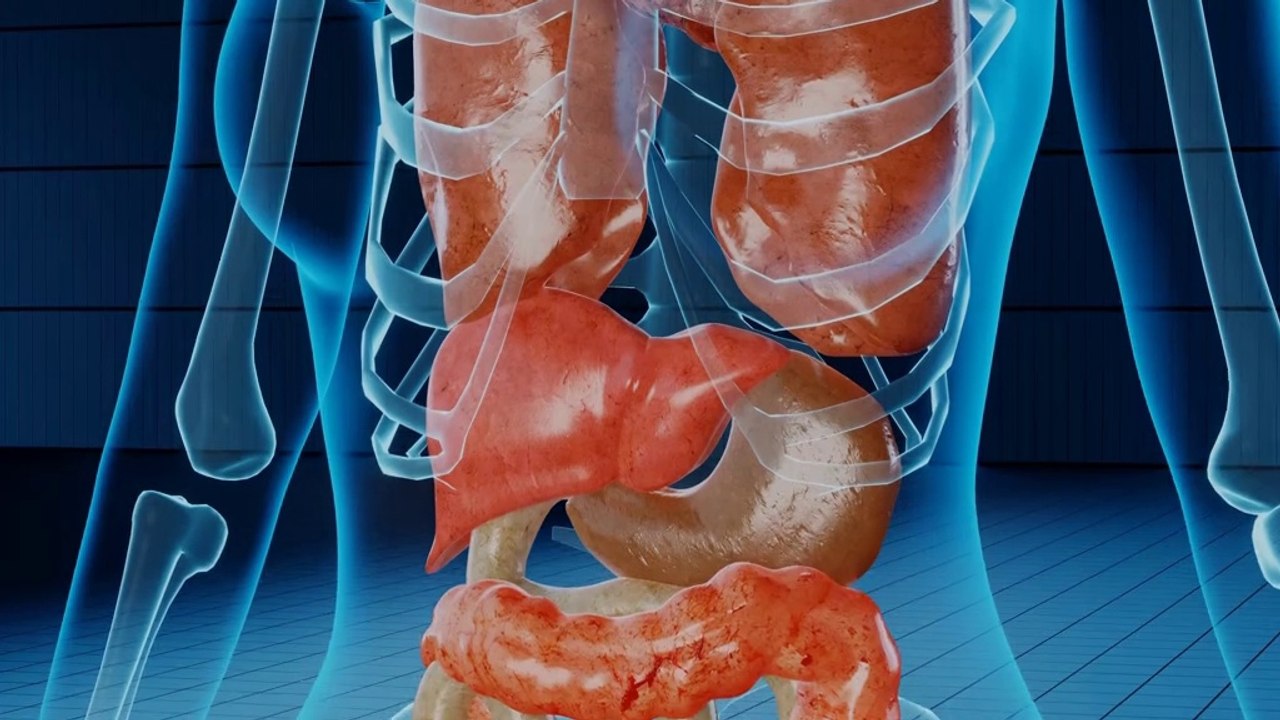 Limpieza de Hígado. Mejores remedios naturales para limpiar y purificar el hígado.