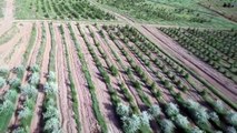 Atatürk Orman Çiftliği'nde yapılacak peyzaj projesine mahkemeden iptal kararı