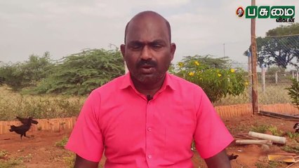 100 கோழிகள், மாதம் ரூ.24,000... மேய்ச்சல் முறை கோழி வளர்ப்பு!