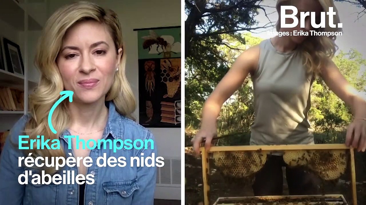 "Nous dépendons tellement d'elles" : elle consacre sa vie au sauvetage des abeilles