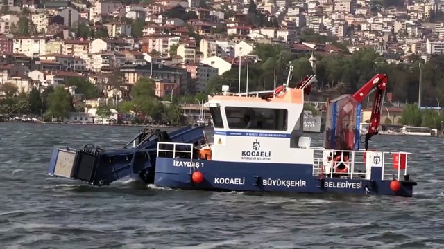 KOCAELİ - İzmit Körfezi'nde 50 günde 150 ton deniz salyası toplandı