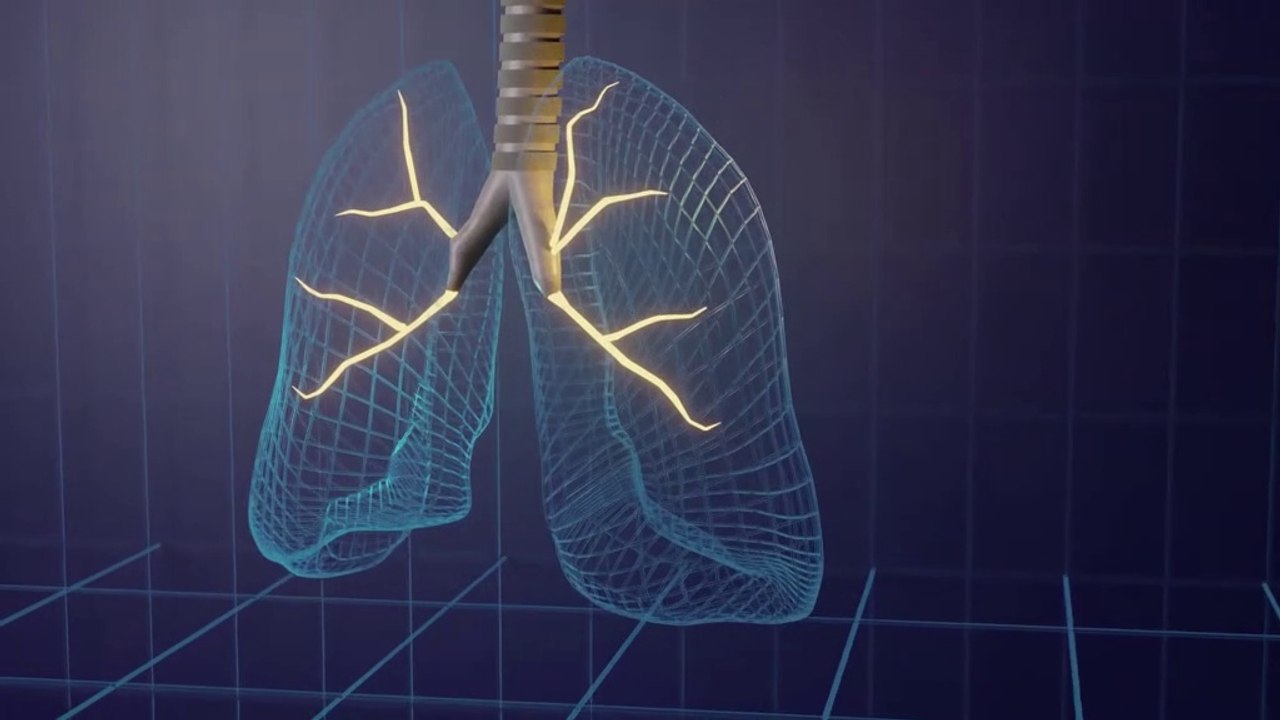 Mantén limpios tus PULMONES. Remedios naturales para limpiar y cuidar tus pulmones.