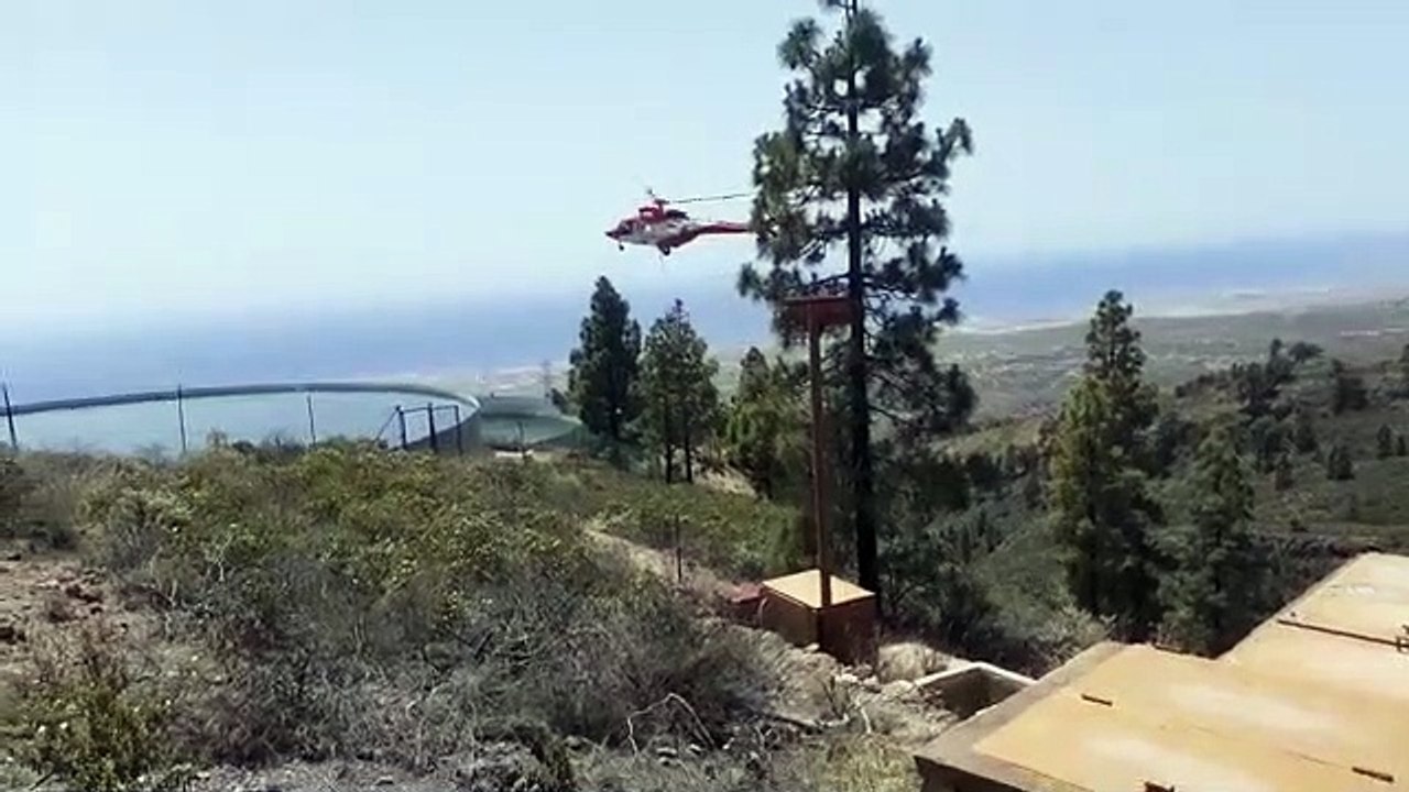 Incendio Forestal en Arico