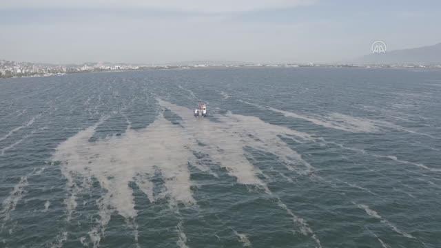 İzmit Körfezi'nde 50 günde 150 ton deniz salyası toplandı