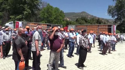 Alanya'da 400 arıcıya 2 bin kovan hibe edildi