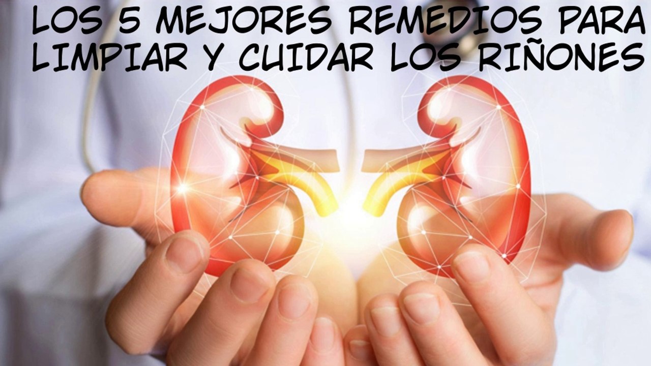 Mejores remedios naturales para limpiar los RIÑONES
