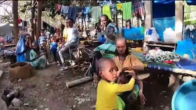 Guerres civiles, climat: 55 millions de réfugiés dans leur propre pays, à travers le monde