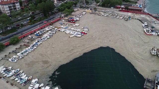 TEKİRDAĞ - Lodos nedeniyle balıkçı barınağı kıyısı deniz salyasıyla kaplandı