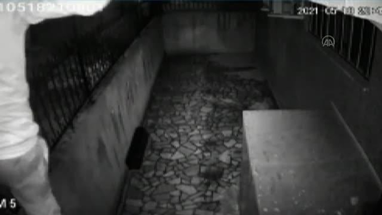 Bir eve "tuvalet ihtiyacını gidermek için" girmeye çalıştığını öne süren şüpheli tutuklandı