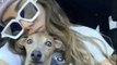 Cachorro de Anitta recebe massagem profissional e internautas vão à loucura