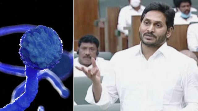 Arogya Sri వల్ల రోజూ 25000 మందికి Covid చికిత్స జరుగుతుంది - Ys Jagan || Oneindia Telugu
