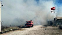 Son dakika haberleri | Kalorifer yakıtı üretilen tesiste yangın çıktı