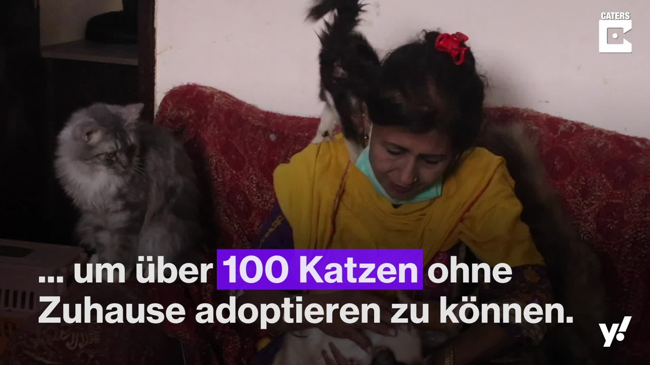 Frau gibt ihr ganzes Vermögen für Katzen aus