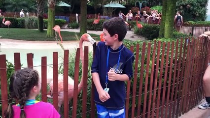 বাংলাফানিটিকটক ভিডিও//Bangla Funny Tiktok Videos 2021।