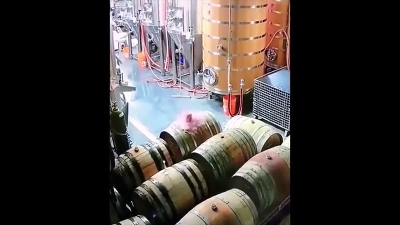 Ce tonneau de vin se transforme en fontaine... paffff