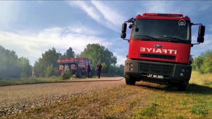 KASTAMONU - Araç ilçesinde orman yangını