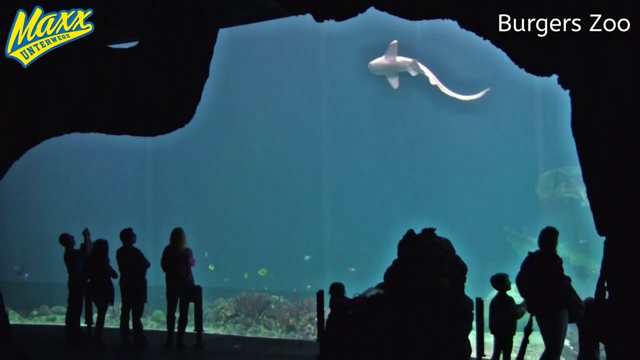 [Zoocheck] Burgers Zoo | Arnhem | Holland