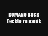 Teckto'romanik (le bug mix de romano) SKYROCK EXCLU