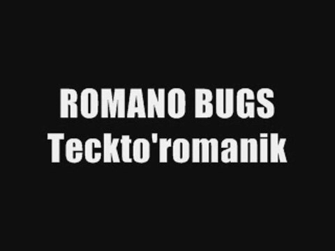 Teckto'romanik (le bug mix de romano) SKYROCK EXCLU