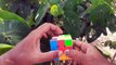 Easy Method - No Need Any Formula To Solve The Rubik'S Cube - Rubix Cube Solving Malayalam Tutorial