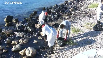 Eurodeputados querem reconhecer crimes de "ecocídio"