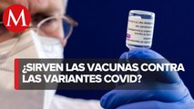¿Sirven para las variantes_ OMS revela que todas las vacunas contra covid-19 son eficaces