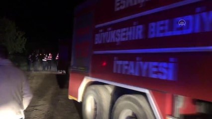 Son dakika... Eskişehir'de ormanlık alanda çıkan yangın kontrol altına alındı