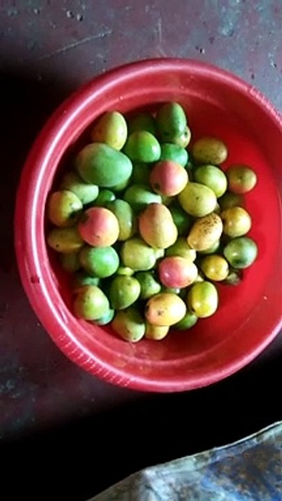 Mango VID20210519160025