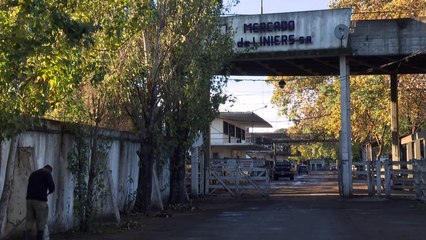 Produtores de carne em greve na Argentina