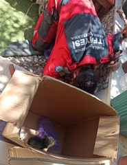 Muğla'da kanalizasyon borusuna sıkışan kedi yavruları kurtarıldı
