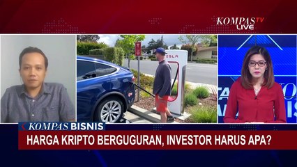 Harga Kripto Berguguran, Investor Harus Apa?