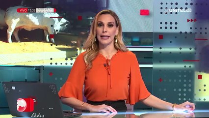 Raza nelore, genética nacional que cautiva a nivel internacional