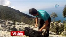 Kayalıklara sıkışan keçiyi doğa sporcusu kurtardı