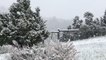 Snow blankets parts of the western US and Canada amid cold snap
