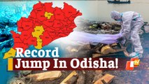 BREAKING: 12523 Cases, 27 Deaths - Odisha Records Highest Single-Day #Covid Spike