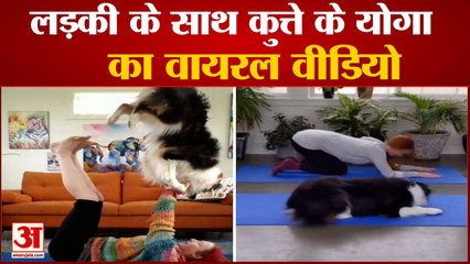 योगा करने वाले कुत्ते का वायरल वीडियो |  Dog Yoga Viral Video | Dog Doing Yoga With Her Owner Video