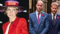 Prens William ve Prens Harry, BBC'yi anneleri Prenses Diana'nın ölümüne katkı yapmakla suçladı