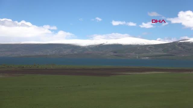 Son dakika haberleri: DOĞA HARİKASI ÇILDIR GÖLÜ, YÖRE HALKININ DA GELİR KAYNAĞI