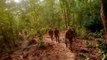 Maoists killed in an operation carried out by C60 commandos