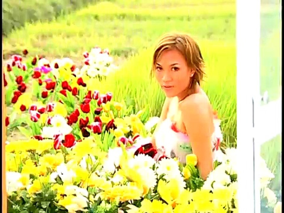Hai mươi - Mỹ Tâm
