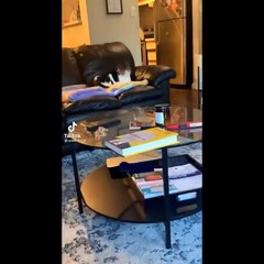 ፈተናው አጭር አማረኛ አንሜሽን ቪዲዮ | Fetenaw New Ethiopian Short Funny Animation Video 2020