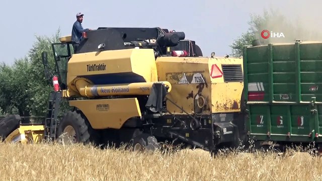 Hububatta düşük rekolte üreticiyi üzdü